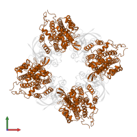 Son of sevenless homolog 1 in PDB entry 1bkd, assembly 1, front view.