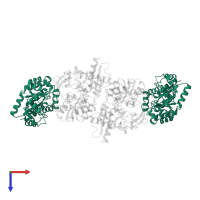 Tryptophan synthase alpha chain in PDB entry 1bks, assembly 1, top view.