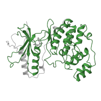 The deposited structure of PDB entry 1bl6 contains 1 copy of Pfam domain PF00069 (Protein kinase domain) in Mitogen-activated protein kinase 14. Showing 1 copy in chain A.