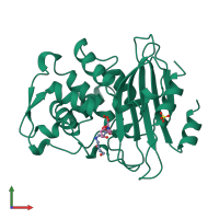 PDB entry 1blc coloured by chain, front view.