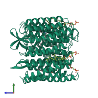 Homo trimeric assembly 1 of PDB entry 1bm1 coloured by chemically distinct molecules, side view.