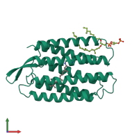 PDB entry 1bm1 coloured by chain, front view.