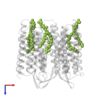 PHOSPHORIC ACID 2,3-BIS-(3,7,11,15-TETRAMETHYL-HEXADECYLOXY)-PROPYL ESTER 2-HYDROXO-3-PHOSPHONOOXY-PROPYL ESTER in PDB entry 1bm1, assembly 1, top view.