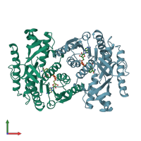 PDB entry 1bmd coloured by chain, front view.
