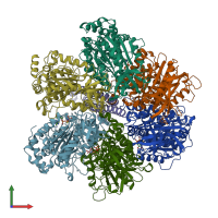 PDB entry 1bmf coloured by chain, front view.