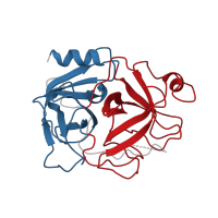 The deposited structure of PDB entry 1bml contains 4 copies of CATH domain 2.40.10.10 (Thrombin, subunit H) in Plasmin light chain B. Showing 2 copies in chain A.