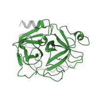 The deposited structure of PDB entry 1bml contains 2 copies of Pfam domain PF00089 (Trypsin) in Plasmin light chain B. Showing 1 copy in chain A.