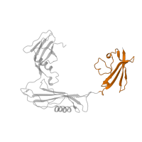 The deposited structure of PDB entry 1bml contains 2 copies of CATH domain 3.10.20.150 (Ubiquitin-like (UB roll)) in Streptokinase C. Showing 1 copy in chain C.