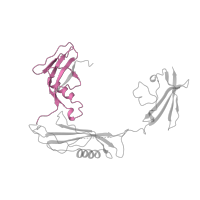 The deposited structure of PDB entry 1bml contains 2 copies of Pfam domain PF02821 (Staphylokinase/Streptokinase family) in Streptokinase C. Showing 1 copy in chain C.
