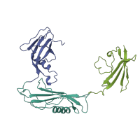 The deposited structure of PDB entry 1bml contains 6 copies of SCOP domain 54329 (Staphylokinase/streptokinase) in Streptokinase C. Showing 3 copies in chain C.