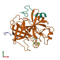 PDB entry 1bmn coloured by chain, front view.
