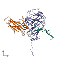 PDB entry 1bmv coloured by chain, front view.