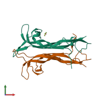 PDB entry 1bnd coloured by chain, front view.