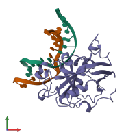 PDB entry 1bnk coloured by chain, front view.