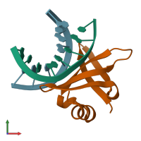 PDB entry 1bnz coloured by chain, front view.