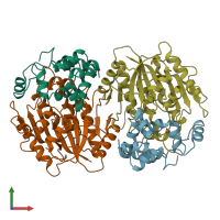 PDB entry 1bou coloured by chain, front view.