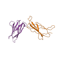 The deposited structure of PDB entry 1bp3 contains 2 copies of CATH domain 2.60.40.10 (Immunoglobulin-like) in Prolactin receptor. Showing 2 copies in chain B.