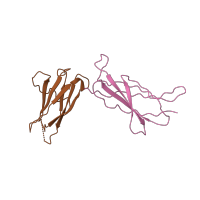 The deposited structure of PDB entry 1bp3 contains 2 copies of SCOP domain 49266 (Fibronectin type III) in Prolactin receptor. Showing 2 copies in chain B.