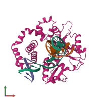 PDB entry 1bpy coloured by chain, front view.