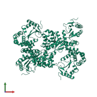 Homo hexameric assembly 1 of PDB entry 1bq7 coloured by chemically distinct molecules, front view.