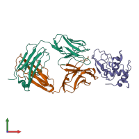 PDB entry 1bql coloured by chain, front view.