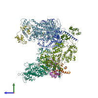 PDB entry 1br4 coloured by chain, side view.