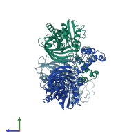 PDB entry 1brm coloured by chain, side view.