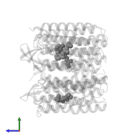 RETINAL in PDB entry 1brx, assembly 1, side view.