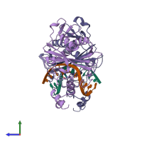PDB entry 1bsu coloured by chain, side view.