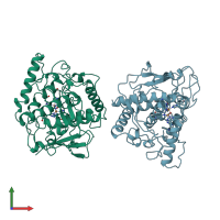 PDB entry 1bt1 coloured by chain, front view.