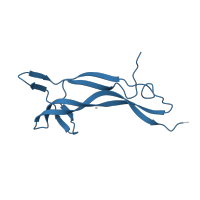 The deposited structure of PDB entry 1btg contains 3 copies of Pfam domain PF00243 (Nerve growth factor family) in Beta-nerve growth factor. Showing 1 copy in chain B.