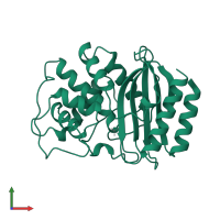 Beta-lactamase TEM in PDB entry 1btl, assembly 1, front view.