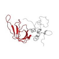 The deposited structure of PDB entry 1buv contains 1 copy of CATH domain 2.40.50.120 (OB fold (Dihydrolipoamide Acetyltransferase, E2P)) in Metalloproteinase inhibitor 2. Showing 1 copy in chain B [auth T].