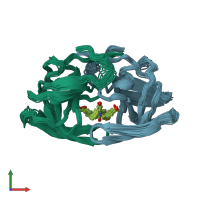 PDB entry 1bve coloured by chain, ensemble of 28 models, front view.