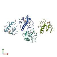PDB entry 1bvi coloured by chain, front view.