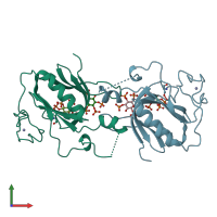 PDB entry 1bwn coloured by chain, front view.
