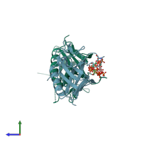 PDB entry 1bwn coloured by chain, side view.