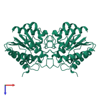 Homo dimeric assembly 1 of PDB entry 1bwp coloured by chemically distinct molecules, top view.