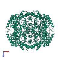 Homo tetrameric assembly 1 of PDB entry 1bxb coloured by chemically distinct molecules, top view.