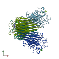 PDB entry 1bxh coloured by chain, front view.