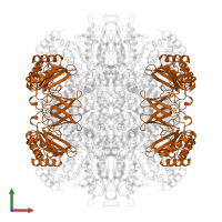 Ribulose bisphosphate carboxylase small subunit, chromosomal in PDB entry 1bxn, assembly 1, front view.