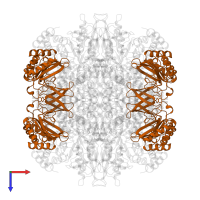 Ribulose bisphosphate carboxylase small subunit, chromosomal in PDB entry 1bxn, assembly 1, top view.