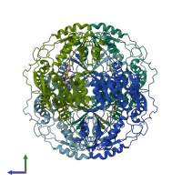 PDB entry 1bxs coloured by chain, side view.