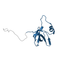 The deposited structure of PDB entry 1bym contains 1 copy of Pfam domain PF18357 (Diphteria toxin repressor SH3 domain) in Diphtheria toxin repressor. Showing 1 copy in chain A.