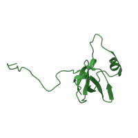 The deposited structure of PDB entry 1bym contains 1 copy of SCOP domain 50041 (FeoA-like) in Diphtheria toxin repressor. Showing 1 copy in chain A.