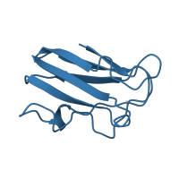 The deposited structure of PDB entry 1byo contains 2 copies of Pfam domain PF00127 (Copper binding proteins, plastocyanin/azurin family) in Plastocyanin, chloroplastic. Showing 1 copy in chain A.
