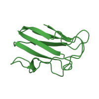 The deposited structure of PDB entry 1byo contains 2 copies of SCOP domain 49504 (Plastocyanin/azurin-like) in Plastocyanin, chloroplastic. Showing 1 copy in chain A.