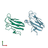 PDB entry 1byo coloured by chain, front view.