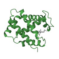 The deposited structure of PDB entry 1bz0 contains 2 copies of SCOP domain 46463 (Globins) in Hemoglobin subunit alpha. Showing 1 copy in chain A.