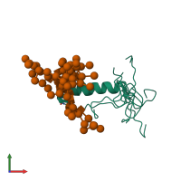 PDB entry 1bzb coloured by chain, ensemble of 10 models, front view.